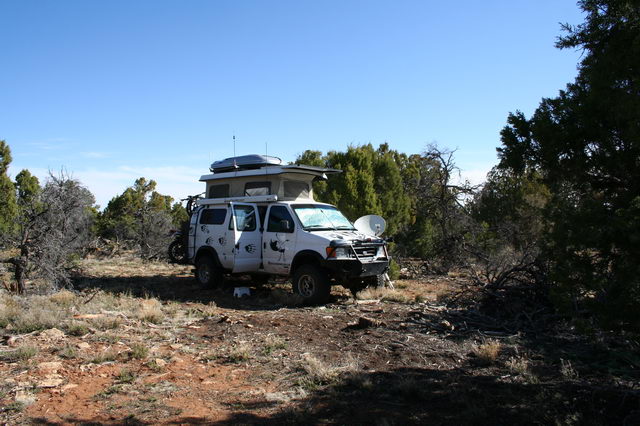 Camping in the Forrest